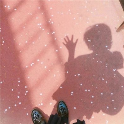 全民喵星人下载手机版